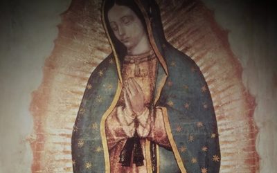 母親的安慰與呼喚