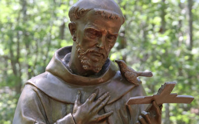 常年期第二十七主日 (十月四日)