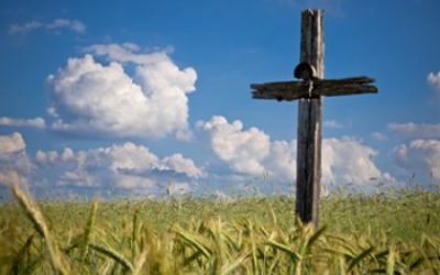 四旬期第五主日