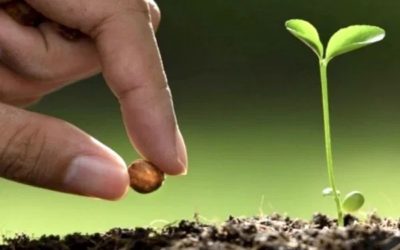 常年期第十一主日