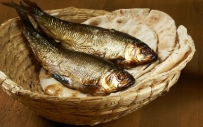 常年期第十七主日