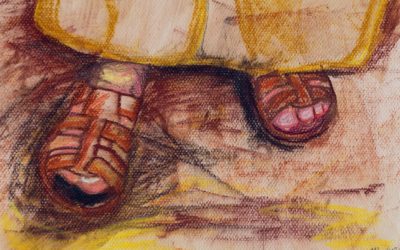 常年期第十五主日