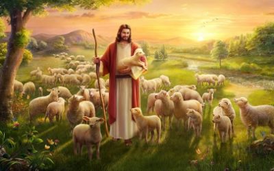 常年期第十六主日