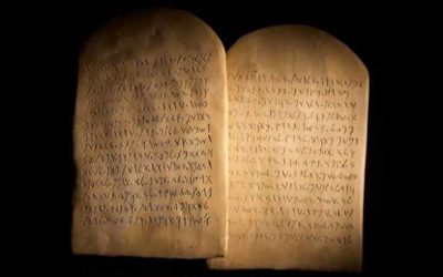 常年期第二十二主日