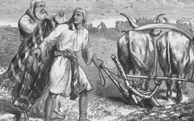 常年期第十三主日