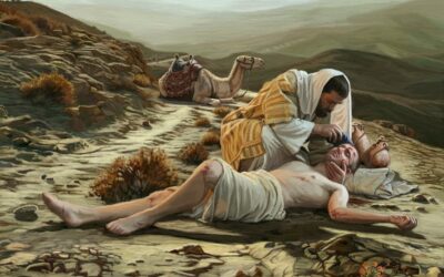 常年期第十五主日