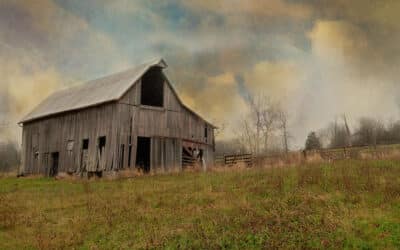常年期第十八主日