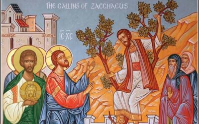 常年期第三十一主日