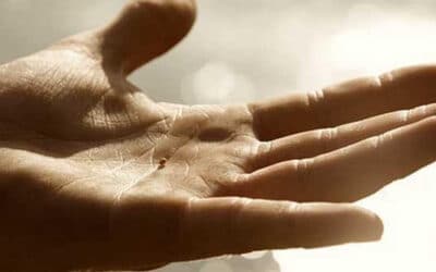 常年期第二十七主日