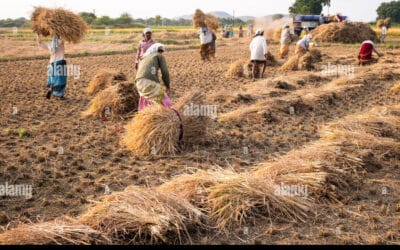常年期第十一主日