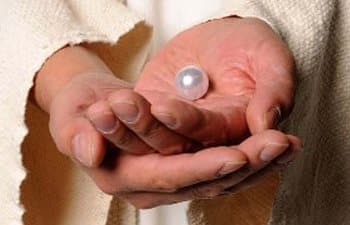 常年期第十七主日