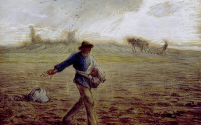 常年期第十五主日