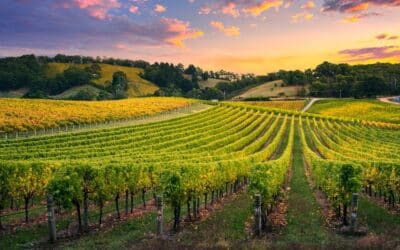 常年期第二十五主日