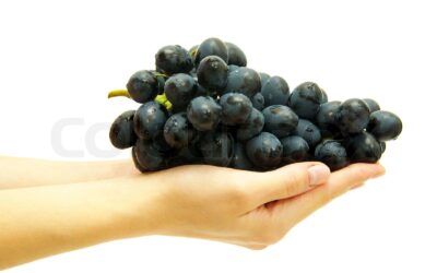 常年期第二十七主日