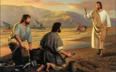 常年期第三主日