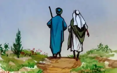 常年期第十五主日