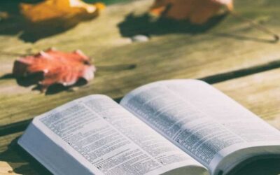 常年期第三十三主日