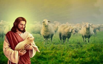 復活期第四主日