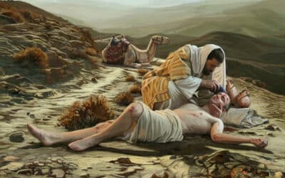 常年期第十五主日