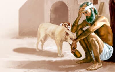 常年期第二十六主日