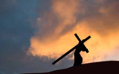 常年期第二十三主日