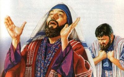 常年期三十主日