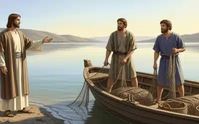 常年期第三主日